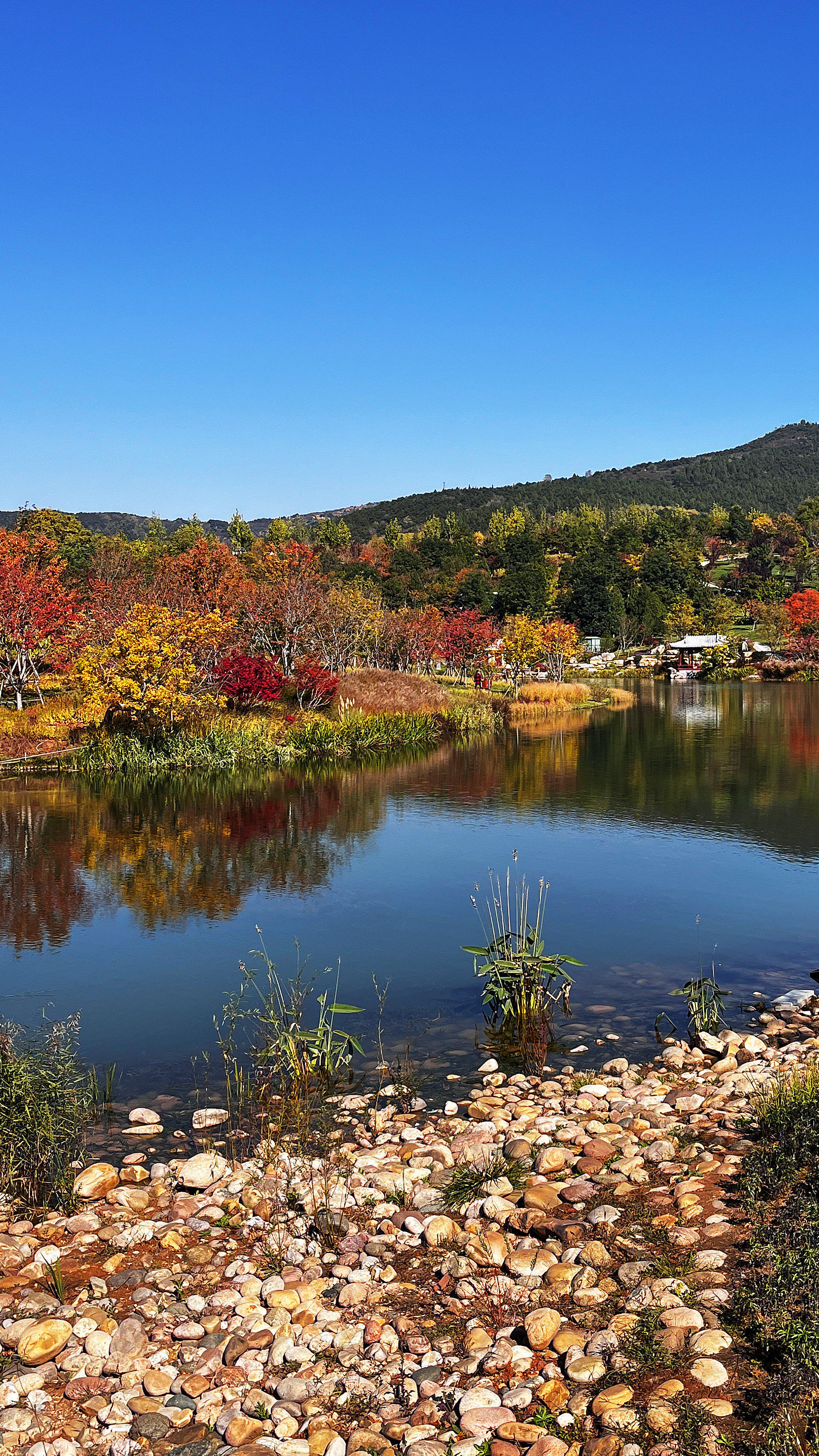 治愈系风景 又到周末了,是否有离开太原近郊游的冲动,其实一直有个