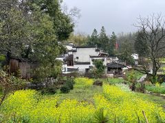 -塔川景区