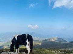 -灵山