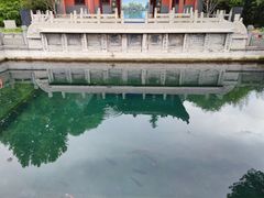 -百脉泉景区