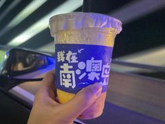 -南澳岛打卡果汁冰公司