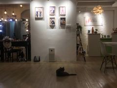 -iF摄影•全家福•证件照•形象照(南山店)