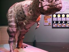 -香港科学馆