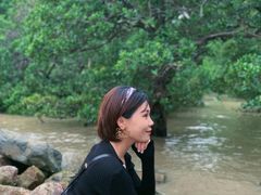 -宝安西湾红树林湿地公园