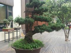 -东湖食堂·湖景餐厅•会议