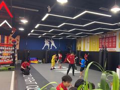 -成杰格斗·拳击·柔术·防身术(建设路店)