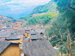 -杨家堂村