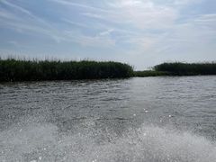 -洪湖生态旅游区