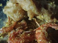 -美顺香食府鱼头老店(雪野湖店)