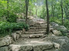 -大岭沟猕猴桃谷风景区