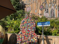 -西双版纳原始森林公园