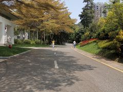 -深圳国际园林花卉博览园