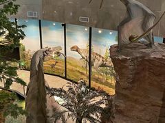 -湖南省地质博物馆