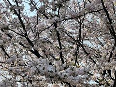 -苏州上方山国家森林公园