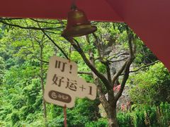 -午潮山国家森林公园