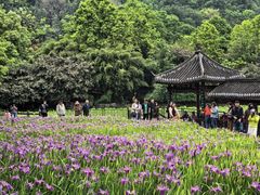 -龙头寺公园
