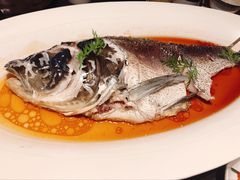 仙骨鱼-凤凰湘语·湘粤鲜融(浦东旗舰店)