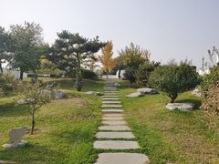 -石家庄市植物园