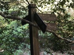 -花岩国家森林公园