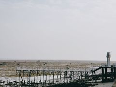 -北海金海湾红树林生态旅游区