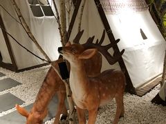 -东方之珠洗浴休闲广场(南开店)