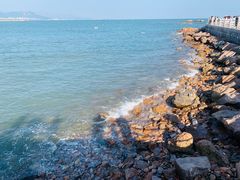 -小麦岛公园