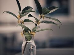 -intime coffee(芝麻街店)