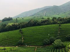 -帐篷客·溪龙茶谷度假酒店