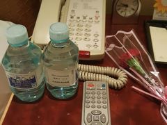 -电谷雅阁国际大酒店