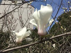 -江南大学(蠡湖校区)