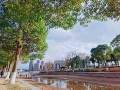 -金沙湖公园