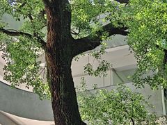 -湖北美术学院(昙华林校区)