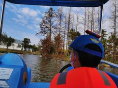 -上海长兴岛郊野公园