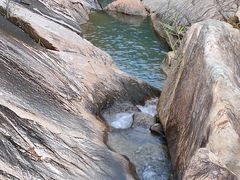 -广州白江湖森林公园