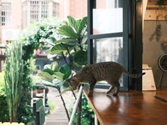 -转山咖啡(松柏社区店)