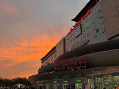 -莲花池公园
