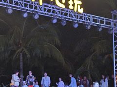-渔家火锅·海鲜自助餐·演艺(亚龙湾天域酒店)