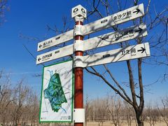 -东郊湿地公园