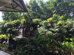 -吉隆坡雀鸟公园