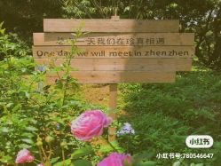 -佛灵湖水上乐园