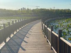 -天津东丽湖风景区