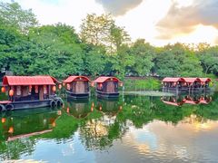 -侨美·唐荔园·40年地道粤菜