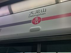 -大龙山(地铁站)