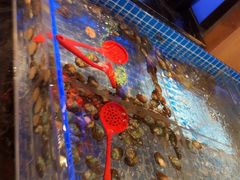 -焰江山海鲜牛排烤肉自助(锦华万达二星店)