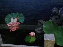 -知足堂养生会所(碑亭巷店)