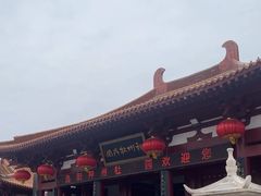 -神州牡丹园