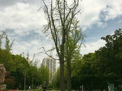 -苏州河梦清园环保主题公园