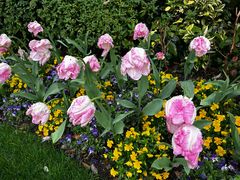 -浙江西子宾馆·瑶园咖啡厅