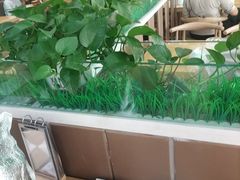 -嘉和一品粥(魏公村店)