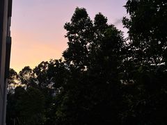 -顺德职业技术大学